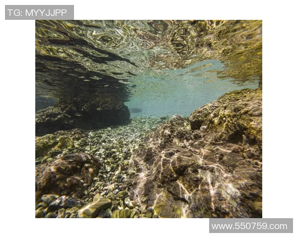 探索伊维安的魅力与健康之旅，感受自然之水的滋养与生活的美好